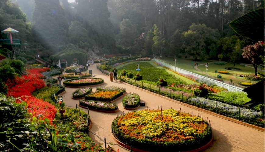 Ooty Flower Show 2023